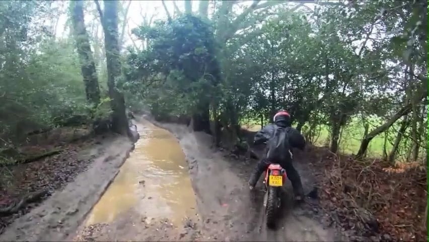 Case 11 - Surrey Hills 1