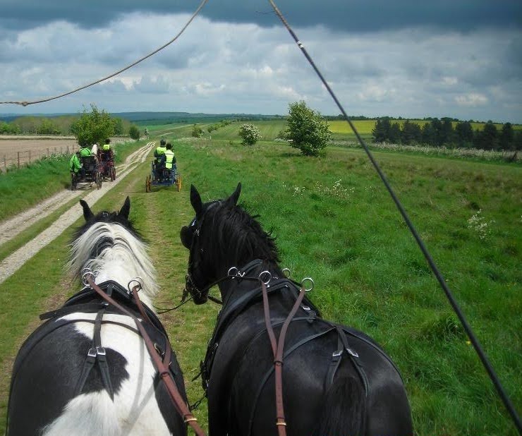 Carriage drivers allowing non-walkers the chance to enjoy the Ridgeway. Carriage drivers allowing non-walkers the chance to enjoy the Ridgeway.
